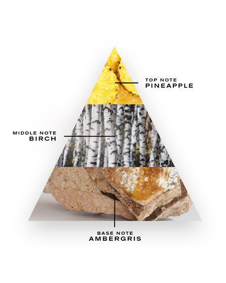 Creed Aventus impression by SCENTS HOME image 1