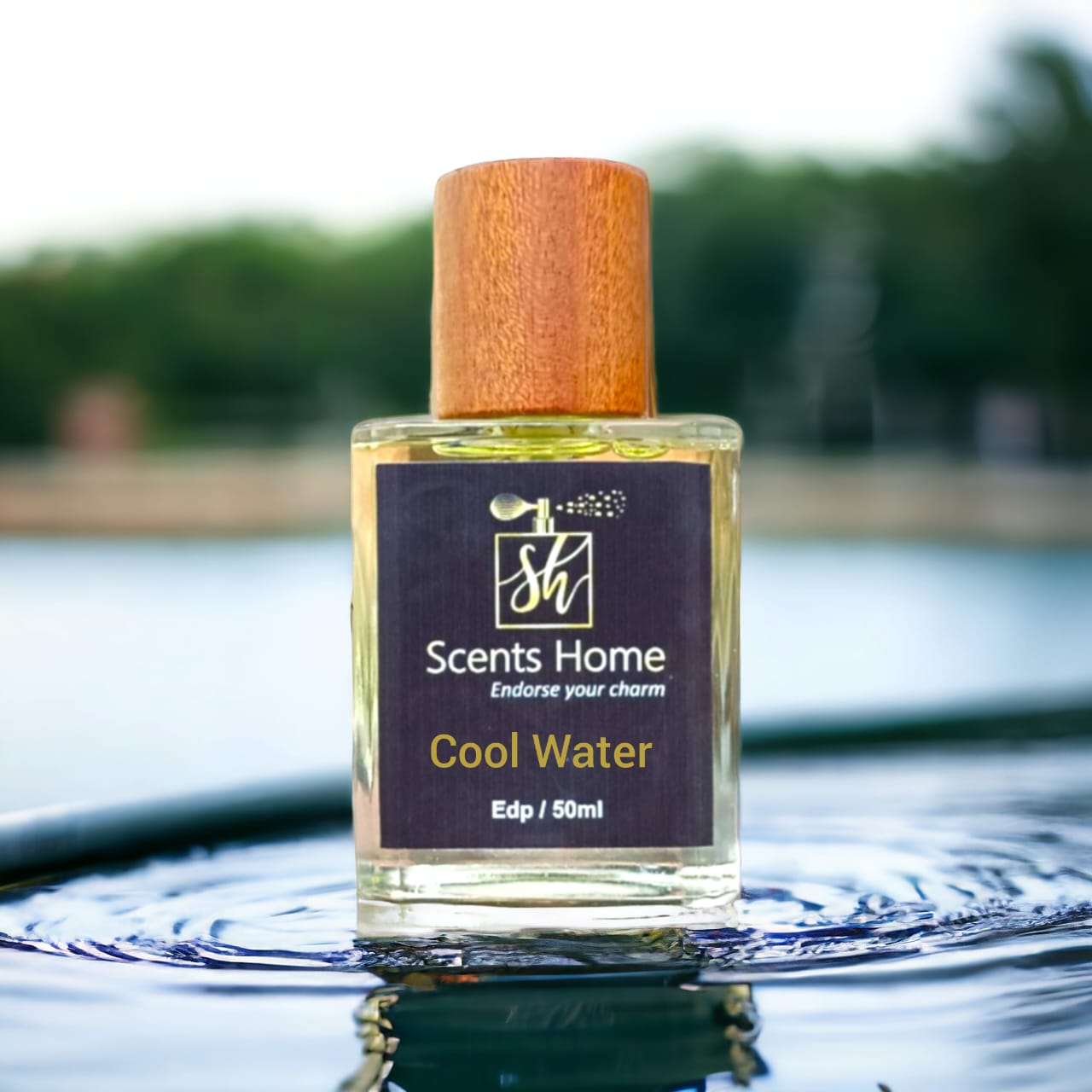 Cool Water Davidoff impression by SCENTS HOME image 0